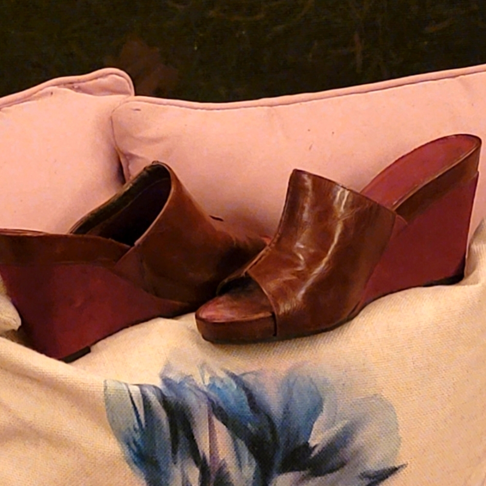 Aerosoles A2 Wedge Pair